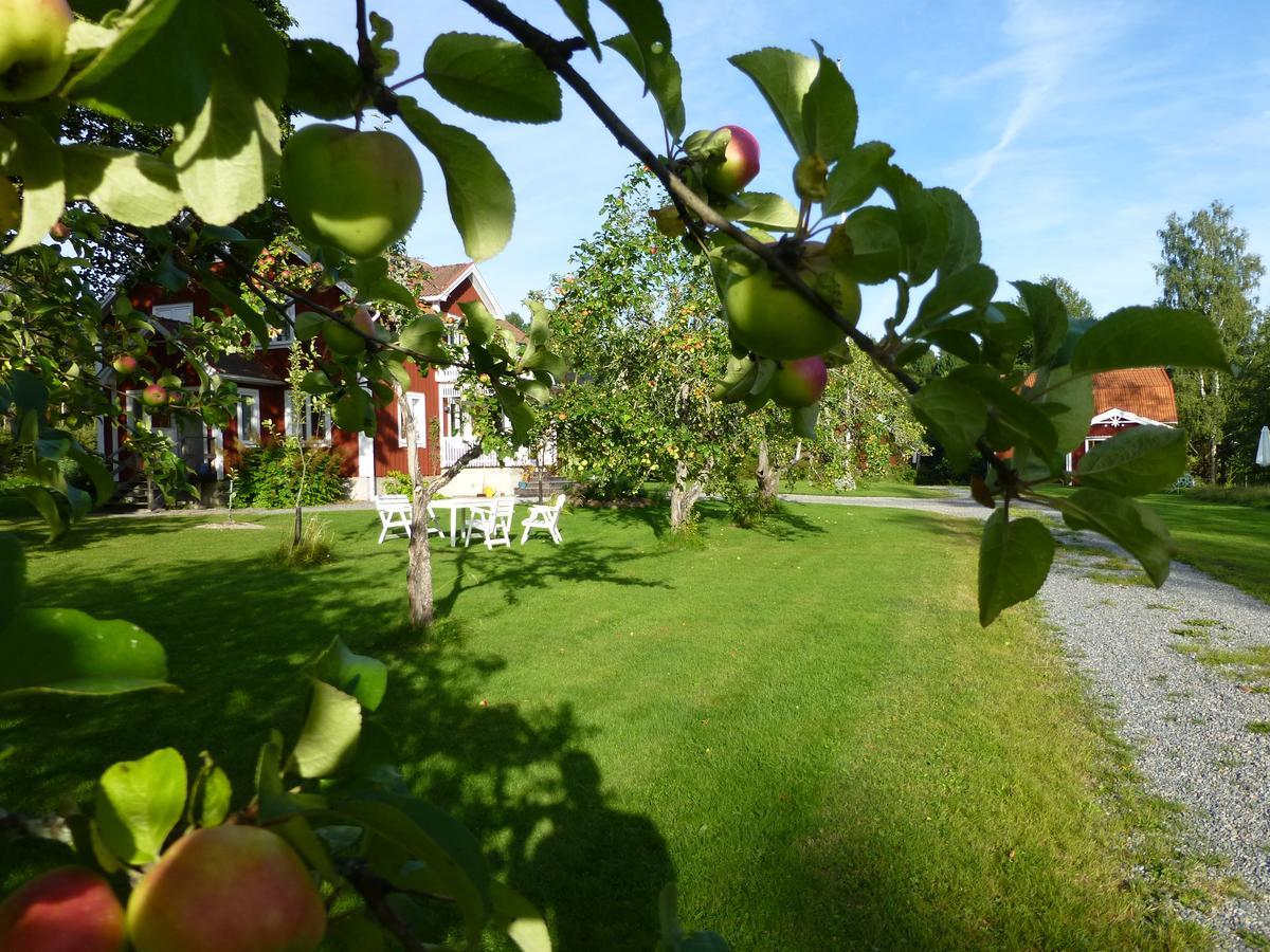 Bed and Breakfast Groena Anaes ostra Loa Экстерьер фото