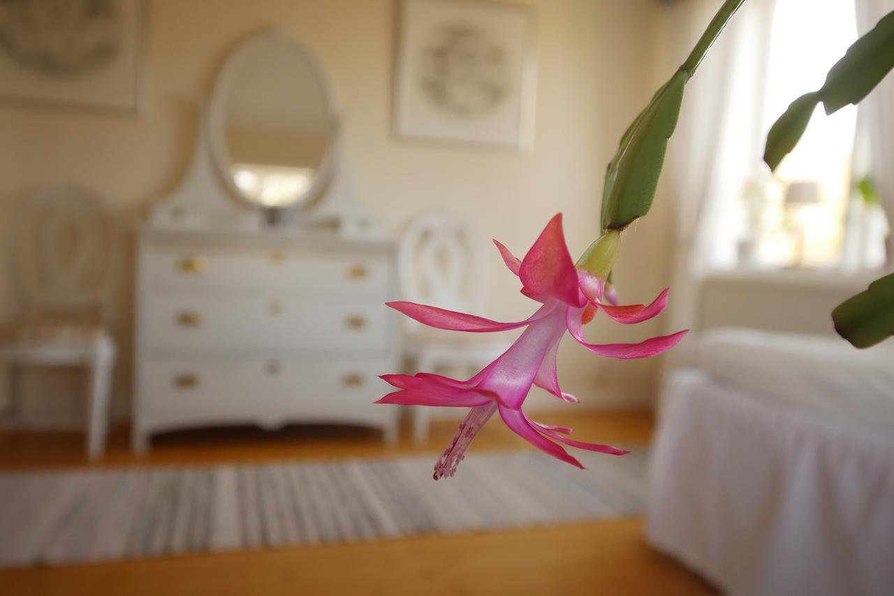 Bed and Breakfast Groena Anaes ostra Loa Экстерьер фото