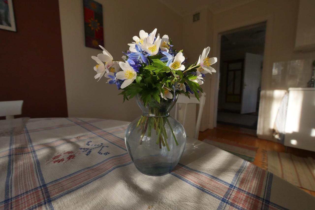 Bed and Breakfast Groena Anaes ostra Loa Экстерьер фото