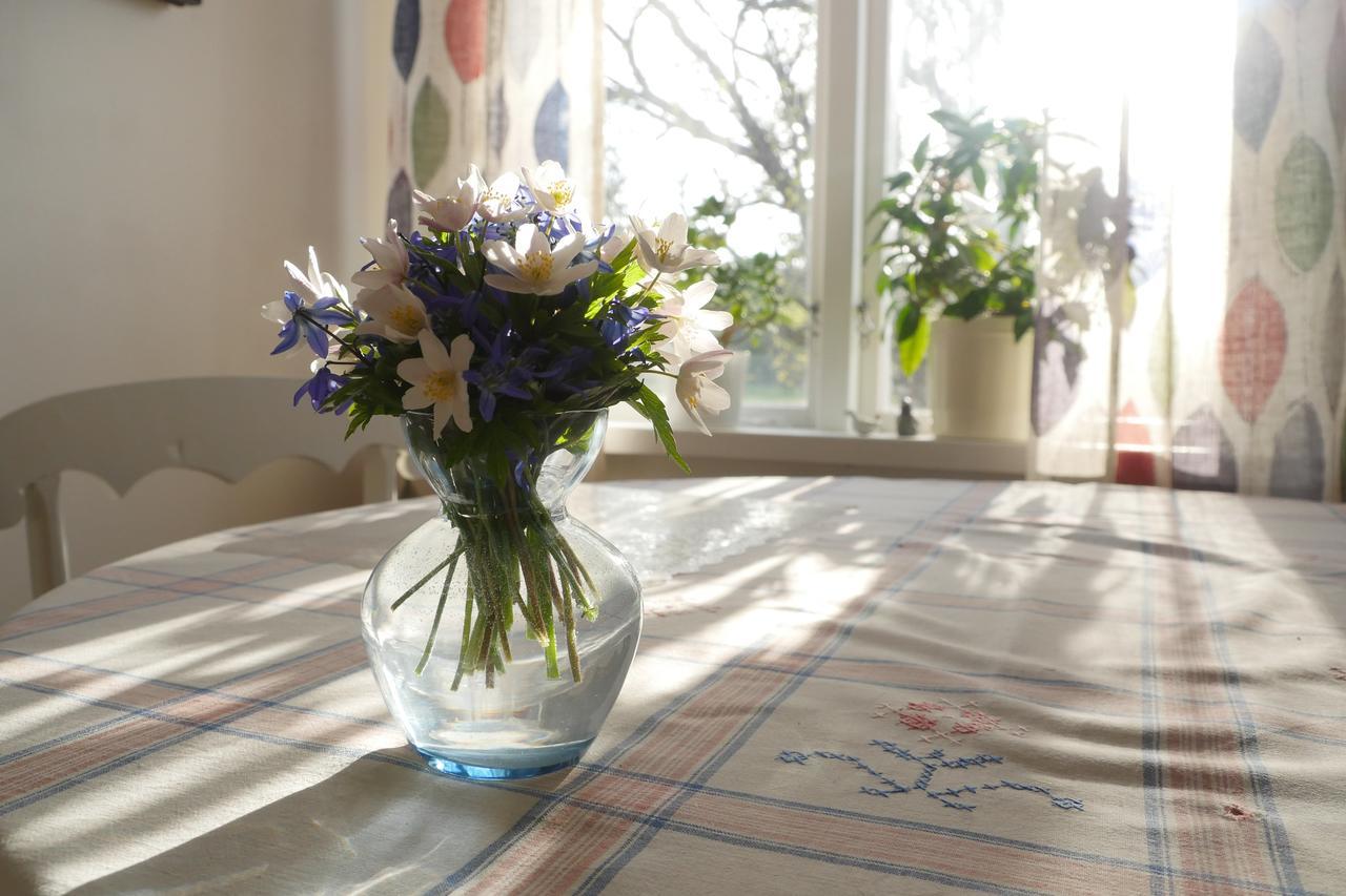 Bed and Breakfast Groena Anaes ostra Loa Экстерьер фото